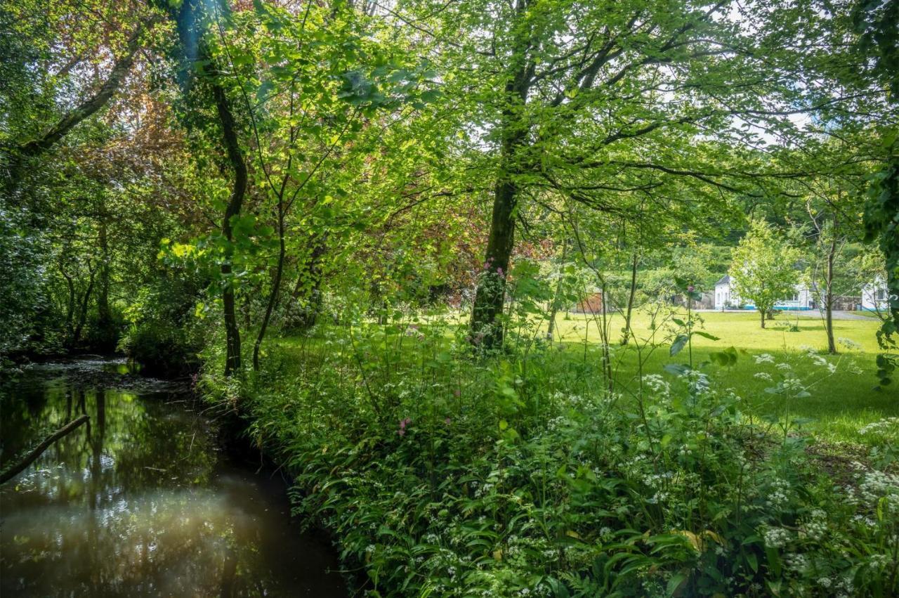 Tucking Mill - 3 Bedroom Holiday Home - Stepaside Stepaside  Bagian luar foto